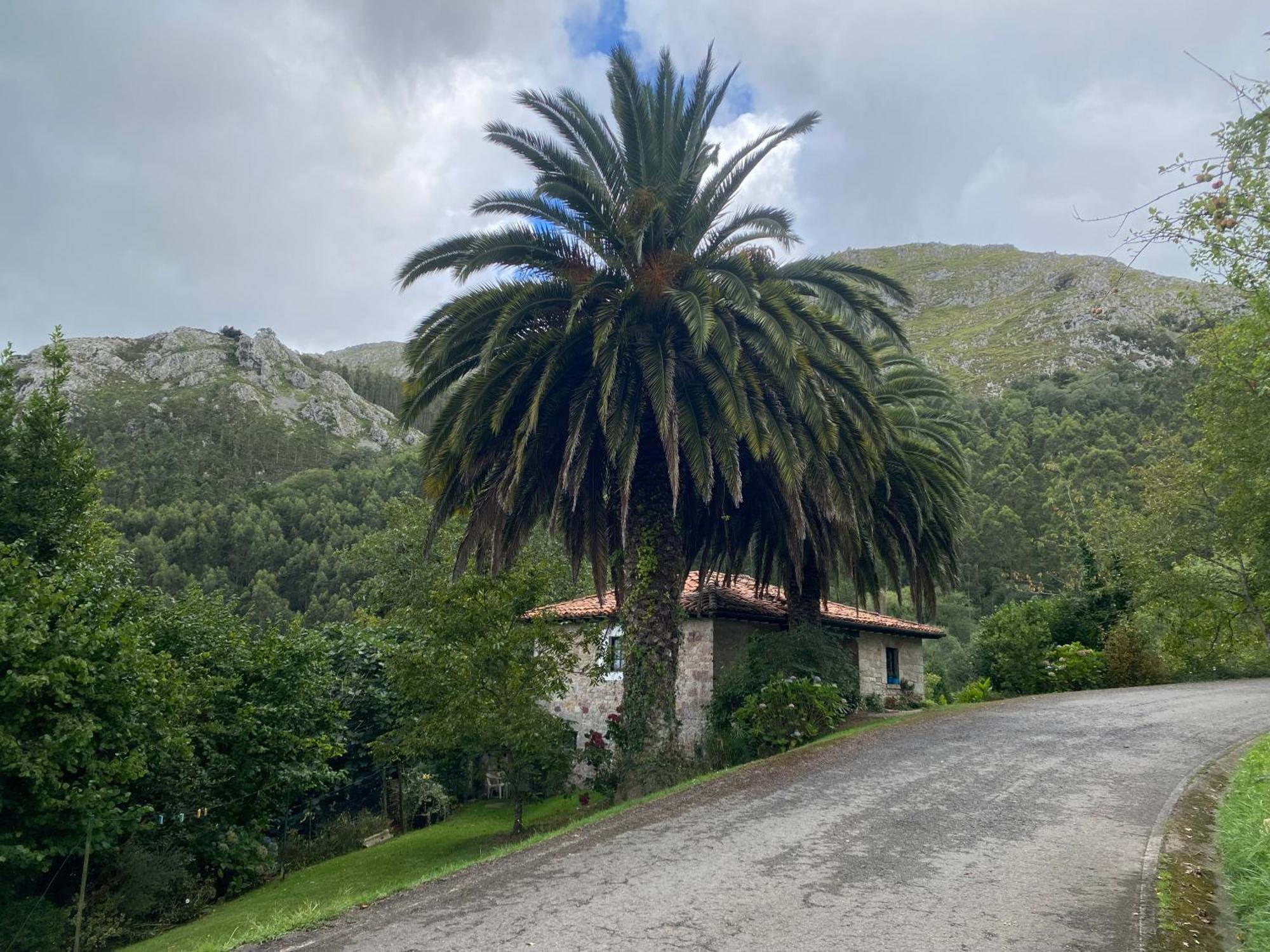カラビア Casa Estilo Rural Con Jardin Entre Playa Y Montanaヴィラ エクステリア 写真