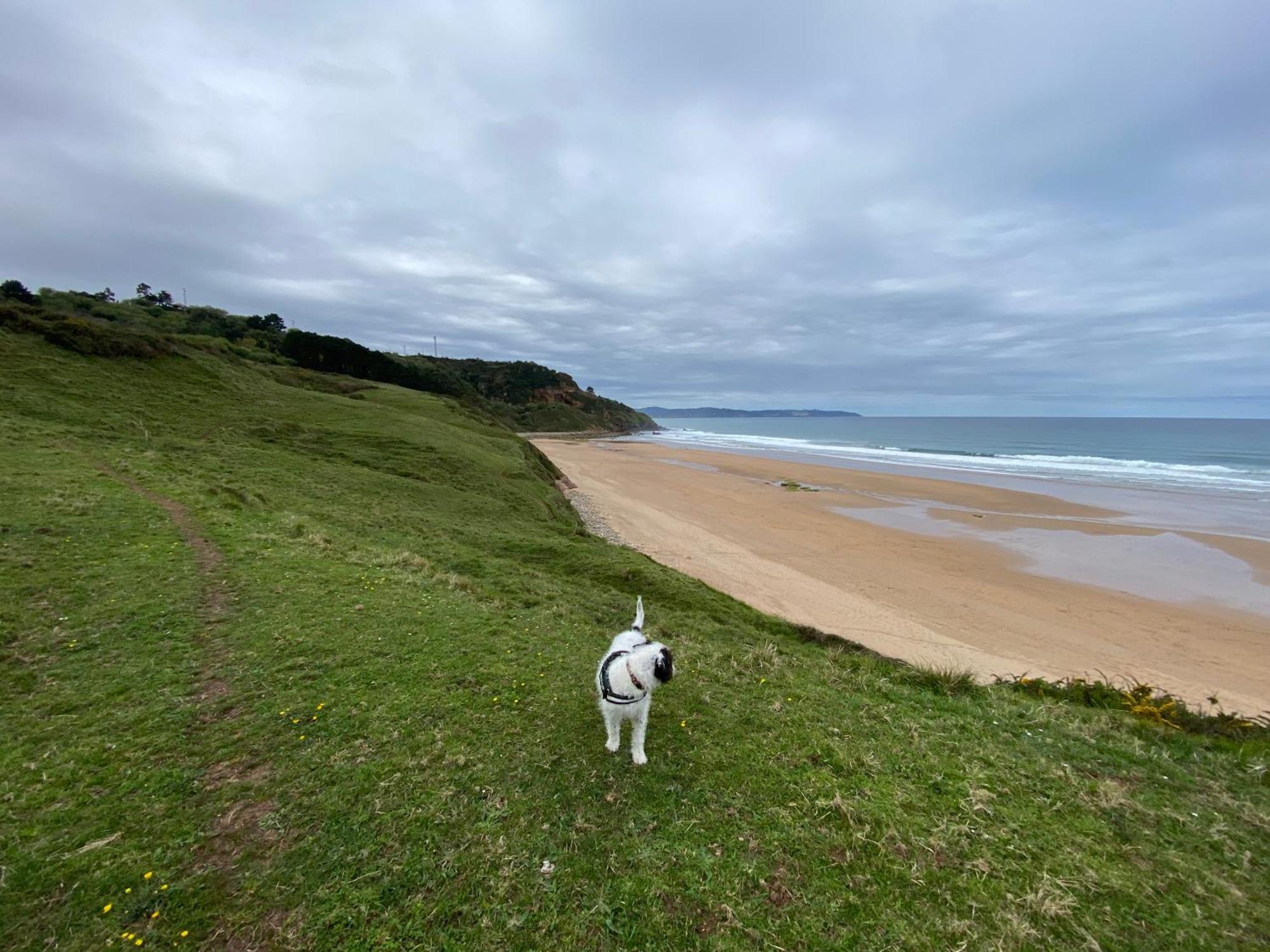カラビア Casa Estilo Rural Con Jardin Entre Playa Y Montanaヴィラ エクステリア 写真